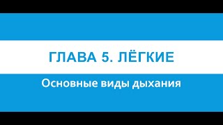 Физиология Глава 5 Лёгкие Основные виды дыхания [upl. by Noel]