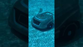 This cordless robotic pool cleaner by Wybot has made our pool cleaning task a breeze 💨 [upl. by Collyer]