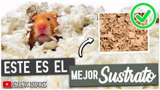 Cual es el MEJOR SUSTRATO para HAMSTERS [upl. by Aiouqahs]