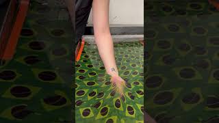 Hydro Dipping Hand 🇧🇷satisfyingvideo hydrodipping [upl. by Olli]