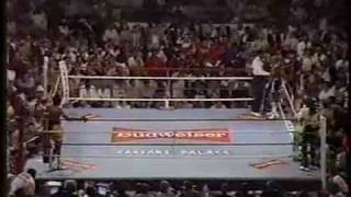 Hagler vs Hearns Round 3mp4 [upl. by Okihcas]