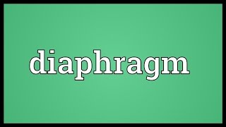 Diaphragm Meaning [upl. by Efrem]