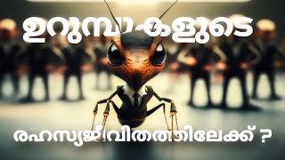 Why ants are so successful  Lets explore the mysterious life of ants   Malayalam [upl. by Kelula523]