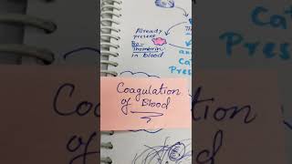 Coagulation of blood  Class 11  NEET [upl. by Cath191]