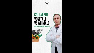 Collagene Vegetale Vs Animale [upl. by Armand]