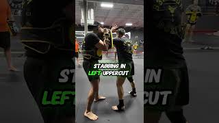 Muay Thai  Fast Elbows [upl. by Marketa]