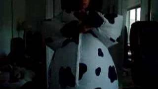 Inflatable cow suit [upl. by Blus870]