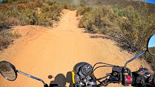 2024 Honda Trail 125  POV Test Ride [upl. by Pero]