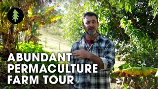 Beautiful 1Acre Small Scale Permaculture Property  Limestone Permaculture Farm Tour [upl. by Ahseital]