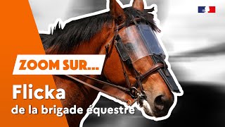 Flicka de la Brigade Équestre 🐴 [upl. by Kondon]