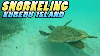 SNORKELING in Maldives  Kuredu Island Resort and Spa 4k [upl. by Tchao]