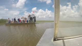 Everglades airboat tour [upl. by Sutherland]