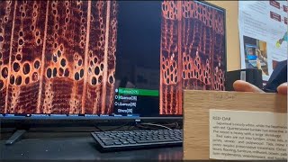 XyloTron  Identify Wood Species with AI [upl. by Netsirhc]