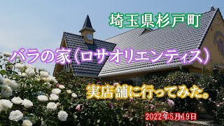 バラの家（ロサオリエンティス） 実店舗に行ってみた。 【スライドショー】 杉戸町 2022年5月19日 [upl. by Sigfried]