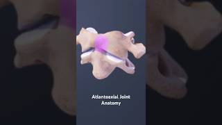 Atlantoaxial Joint Anatomy [upl. by Piwowar407]