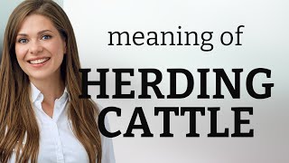 Herding Cattle Understanding an Idiomatic Expression [upl. by Maclaine637]