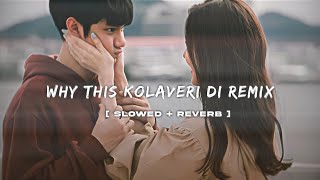 ❤️‍🩹✨Why This Kolaveri Di Remix  LofiSlowed  Reverb [upl. by Rutter]