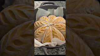 sourdough pumpkin bread🎃🍁🥖sourdoughsourdough breadbreadcoocking pumpkinbread [upl. by Atiraj]