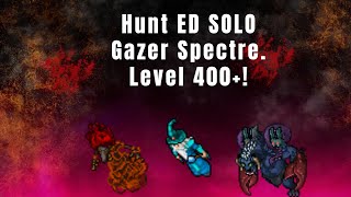 Tibia  Hunt ED SOLO Gazer Spectre Port Hope  500kh de profit numa hunt relaxada 400 [upl. by Julissa]