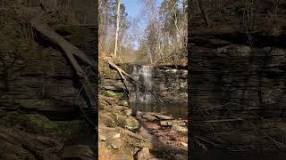 Ricketts Glen 11424 water waterfall getoutside autumn nature river birthday hiking fun [upl. by Willy]