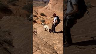 Piston amp Matt’s Epic Descent at Horseshoe Bend Page AZ 🐾🦅⛰️ [upl. by Airtemak]