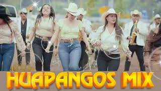 HUAPANGOS Pa BAILAR 🔥Popurri De Huapangos🔥cumbias para bailar 🔥Los Avila La Kumbre Con K Los Rugar [upl. by Ylrebmik]