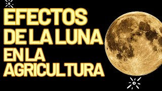 INFLUENCIA DE LA LUNA EN LA AGRICULTURA Agroecología [upl. by Mosa]