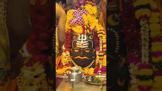 Mahakal k bhakto k liye bholenath mahakal mahadev live video darshan omkaleshwar [upl. by Yran989]