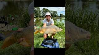 Hol karpia na feeder shorts feeder feederfishing carpfishing carp [upl. by Latyrc]