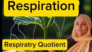 Plant PhysiologyL6RespirationRespiratry QuotientRQ valuesAll boardsNEETMDCAT [upl. by Georgie915]