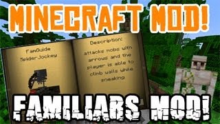 Minecraft Familiars Mod Navi Fairies Notch and More [upl. by Yrag202]