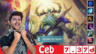 DOTA 2 Ceb the NATURES PROPHET OFFLANE 737d [upl. by Butterworth]