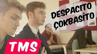 Çokbasito ft Berk Coşkun quotDespacitoquot Parodi [upl. by Brightman641]