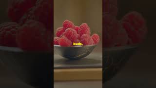 Miracle Fruit Health Benefits amp Fun Facts fyp fypシ゚viral organic facts facts health [upl. by Sorrows761]