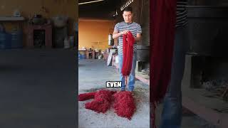 Cochineal bug red dye bug ecosystem facts animals [upl. by Kcirdaed]