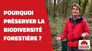 🌳🌲 EP1  L’importance de la biodiversité pour la santé des forêts [upl. by Matelda]