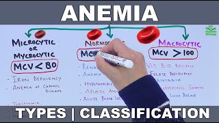 Anemia  Types and Classification [upl. by Sedinoel]