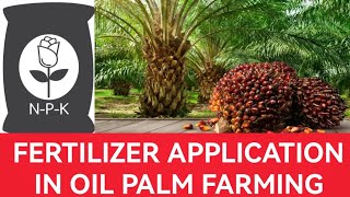 How to Increase Oil Palm Yields With Fertilizer Application [upl. by Shornick]