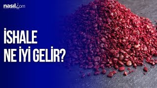 İshal İçin Bire Bir Sumak  Sağlık  Nasilcom [upl. by Hsima]