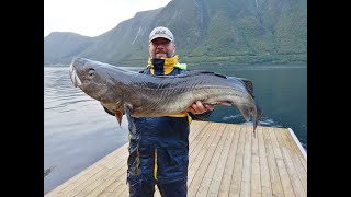 Norway Fishing 2019  Dalsfjord Angeln bei Wind und Wetter [upl. by Nalat]