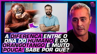 COMO ACONTECEU A EVOLUÇÃO HUMANA  PAULO JUBILUT [upl. by Ahsielat]