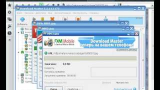 Download Master  Массовое скачивание файлов с интернета [upl. by Eselrahc]
