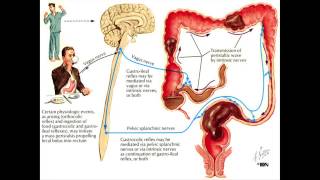 Constipation and the Colon  Mayo Clinic [upl. by Aileon]