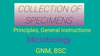 Specimen Collection From The Patients ।। Sample Collection ।। [upl. by Artemas]