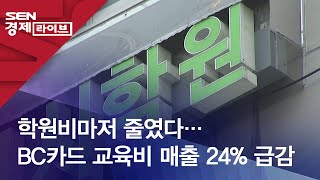 학원비마저 줄였다…BC카드 교육비 매출 24 급감 [upl. by Anniahs]