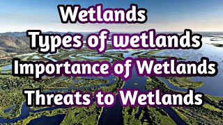 Wetlands  Types of Wetlands  Importance of Wetlands  Threats to wetlands [upl. by Chansoo]