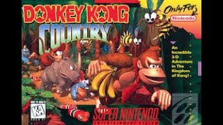 Whats the Secret to Mastering Donkey Kong Country on Nintendo Switch [upl. by Rubia]