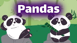 Pandas for Kids  Homeschool Pop [upl. by Uhthna]