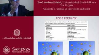 Ambiente e fertilità gli interferenti endocrini [upl. by Bunker]