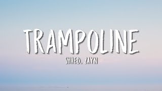 SHAED ZAYN  Trampoline Lyrics [upl. by Sheila720]